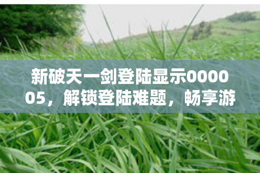 新破天一剑登陆显示000005，解锁登陆难题，畅享游戏之旅，新破天一剑登陆难题解锁，000005错误代码解决方案