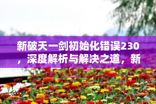 新破天一剑初始化错误230，深度解析与解决之道，新破天一剑初始化错误230，深度解析与解决之道