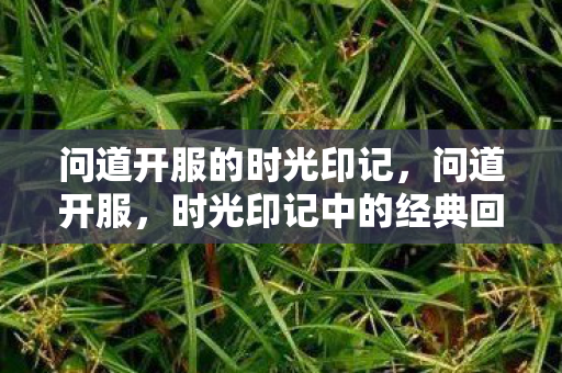 问道开服的时光印记，问道开服，时光印记中的经典回忆