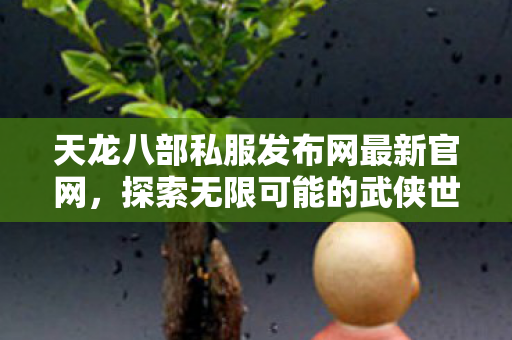 天龙八部私服发布网最新官网图片