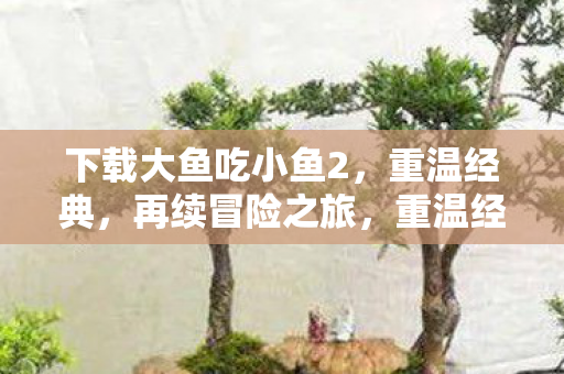 下载大鱼吃小鱼2,重温经典,再续冒险之旅,重温经典冒险之旅,下载大鱼吃小鱼2 下载大鱼吃小鱼2,重温经典,再续冒险之旅,重温经典冒险之旅,下载大鱼吃小鱼2