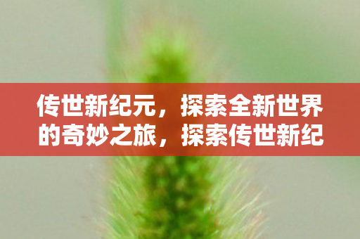 探索全新世界的奇妙之旅图片