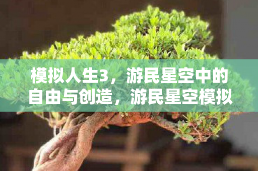 模拟人生3，游民星空中的自由与创造，游民星空模拟人生3，自由与创造的无限可能
