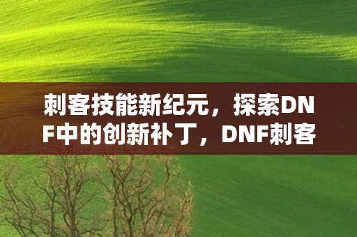 刺客技能新纪元,探索DNF中的创新补丁,DNF刺客技能新纪元,创新补丁探索 刺客技能新纪元,探索DNF中的创新补丁,DNF刺客技能新纪元,创新补丁探索