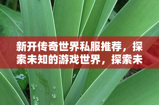 新开传奇世界私服推荐图片