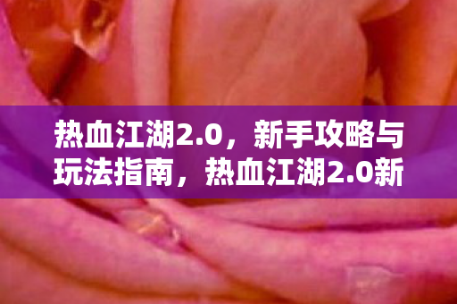 热血江湖2.0,新手攻略与玩法指南,热血江湖2.0新手攻略,快速上手与玩法指南 热血江湖2.0,新手攻略与玩法指南,热血江湖2.0新手攻略,快速上手与玩法指南