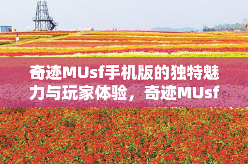 奇迹MUsf手机版的独特魅力与玩家体验图片