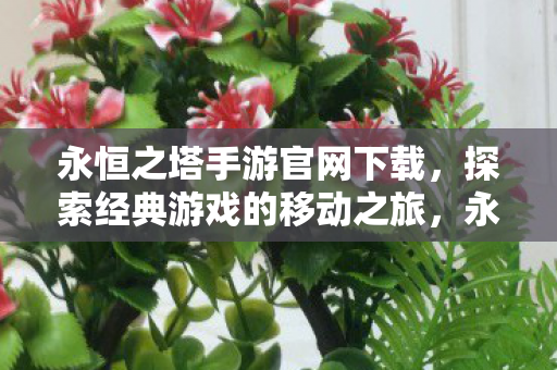 探索经典游戏的移动之旅图片