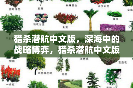 深海中的战略博弈图片