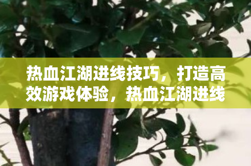 热血江湖进线技巧,打造高效游戏体验,热血江湖进线技巧,打造高效游戏体验 热血江湖进线技巧,打造高效游戏体验,热血江湖进线技巧,打造高效游戏体验