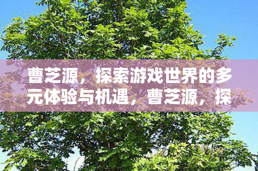 探索游戏世界的多元体验与机遇图片