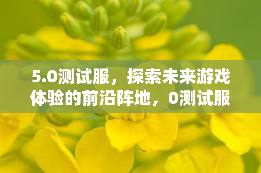 探索未来游戏体验的前沿阵地图片