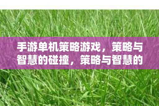 手游单机策略游戏图片