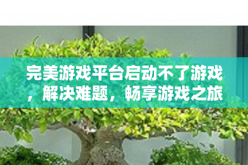完美游戏平台启动不了游戏图片