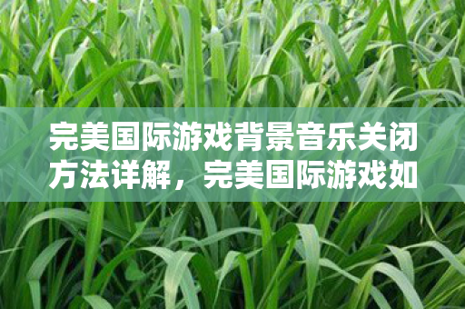 完美国际游戏背景音乐关闭方法详解图片