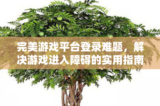 完美游戏平台登录难题实用指南图片