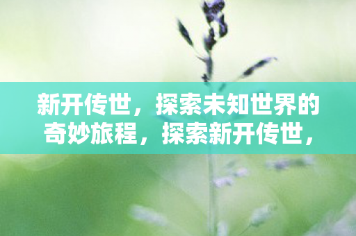 探索未知世界的奇妙旅程图片