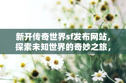 新开传奇世界sf发布网站图片