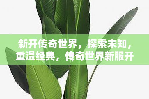 传奇世界新服开启图片
