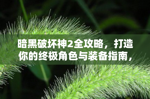 暗黑破坏神2全攻略,打造你的终极角色与装备指南,暗黑破坏神2,打造终极角色与装备全攻略 暗黑破坏神2全攻略,打造你的终极角色与装备指南,暗黑破坏神2,打造终极角色与装备全攻略