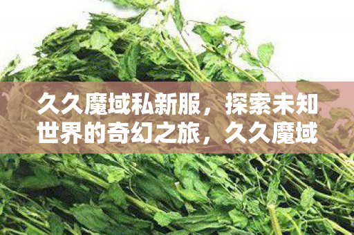 探索未知世界的奇幻之旅图片