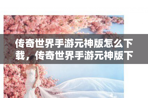 传奇世界手游元神版怎么下载图片