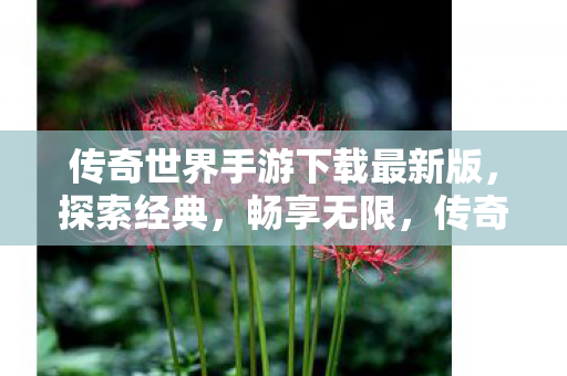 传奇世界手游下载最新版图片