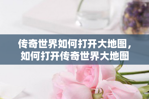 传奇世界如何打开大地图图片
