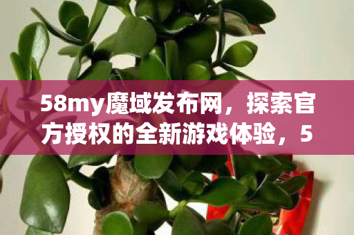 探索官方授权的全新游戏体验图片