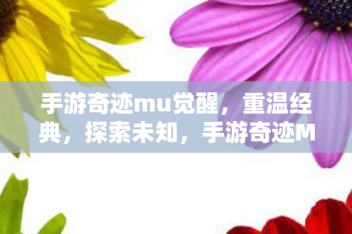 手游奇迹mu觉醒图片