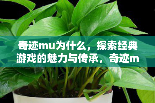 探索经典游戏的魅力与传承图片