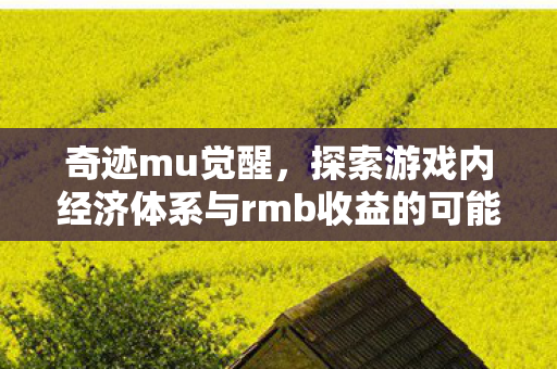 探索游戏内经济体系与rmb收益的可能性图片