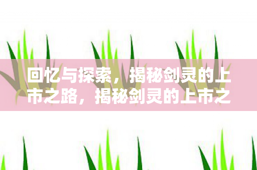 揭秘剑灵的上市之路图片