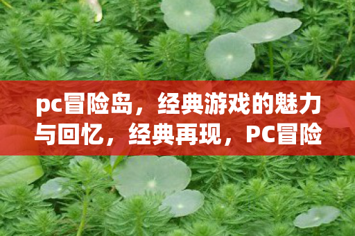 pc冒险岛,经典游戏的魅力与回忆,经典再现,PC冒险岛的魅力与回忆 pc冒险岛,经典游戏的魅力与回忆,经典再现,PC冒险岛的魅力与回忆