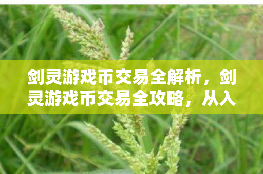 剑灵游戏币交易全解析图片