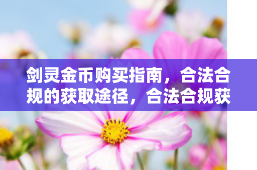 合法合规获取剑灵金币的实用指南图片