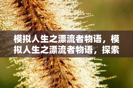 探索人生旅程的奇幻冒险图片