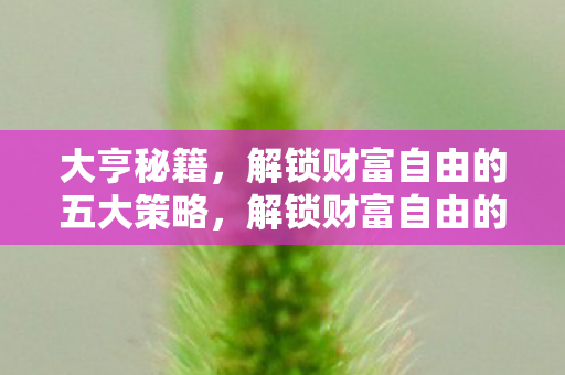解锁财富自由的五大策略图片