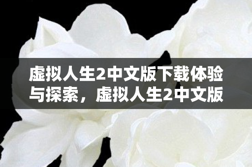 虚拟人生2中文版下载体验与探索图片