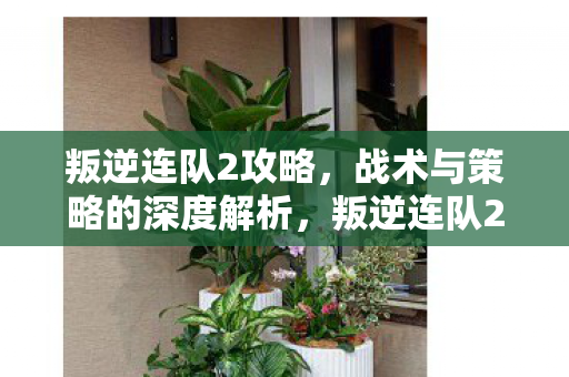 叛逆连队2战术与策略深度解析图片