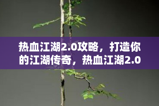 热血江湖2.0攻略,打造你的江湖传奇,热血江湖2.0,打造你的传奇江湖之旅 热血江湖2.0攻略,打造你的江湖传奇,热血江湖2.0,打造你的传奇江湖之旅