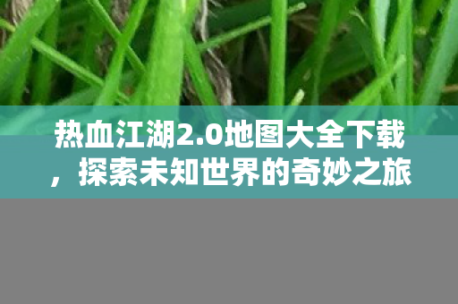 热血江湖2.0地图大全下载,探索未知世界的奇妙之旅,热血江湖2.0地图大全下载,开启探索未知世界的奇妙之旅 热血江湖2.0地图大全下载,探索未知世界的奇妙之旅,热血江湖2.0地图大全下载,开启探索未知世界的奇妙之旅