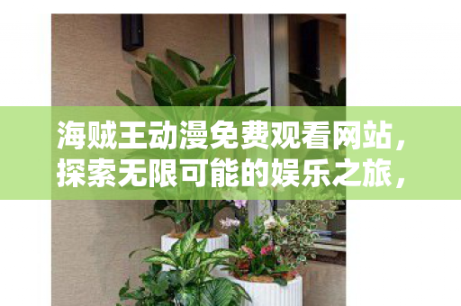 海贼王动漫免费观看网站图片