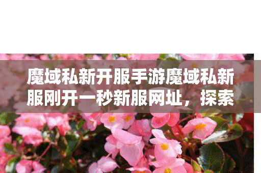 魔域私新开服手游魔域私新服刚开一秒新服网址图片