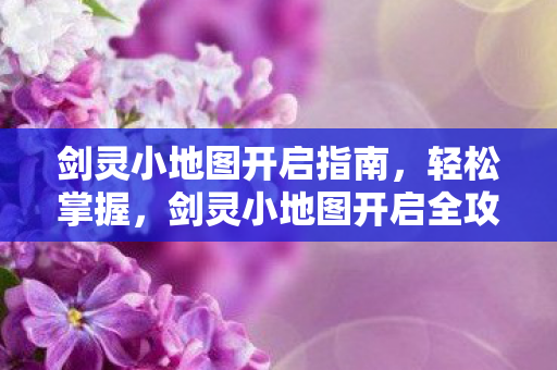 剑灵小地图开启全攻略图片