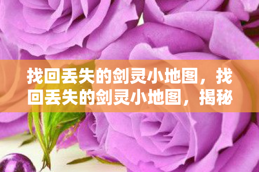 找回丢失的剑灵小地图图片