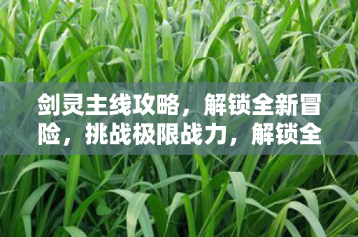 剑灵主线攻略图片