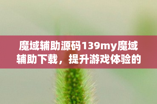 魔域辅助源码139my魔域辅助下载图片