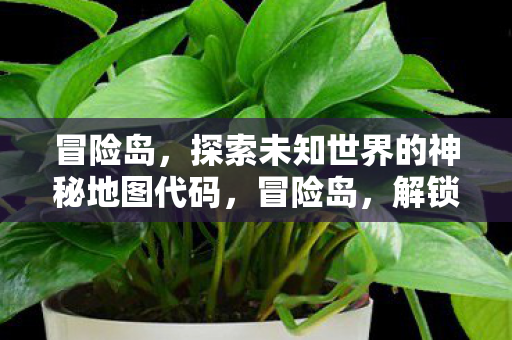 冒险岛，探索未知世界的神秘地图代码，冒险岛，解锁神秘地图代码，探索未知世界