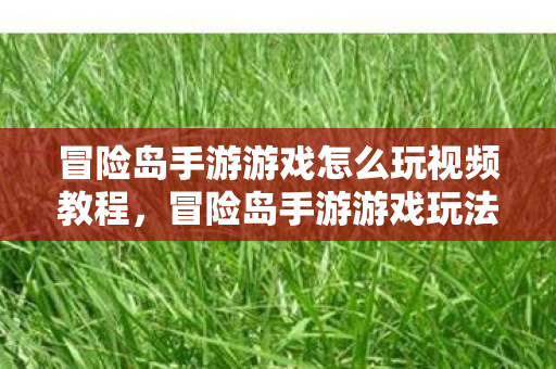 冒险岛手游游戏怎么玩视频教程，冒险岛手游游戏玩法视频教程